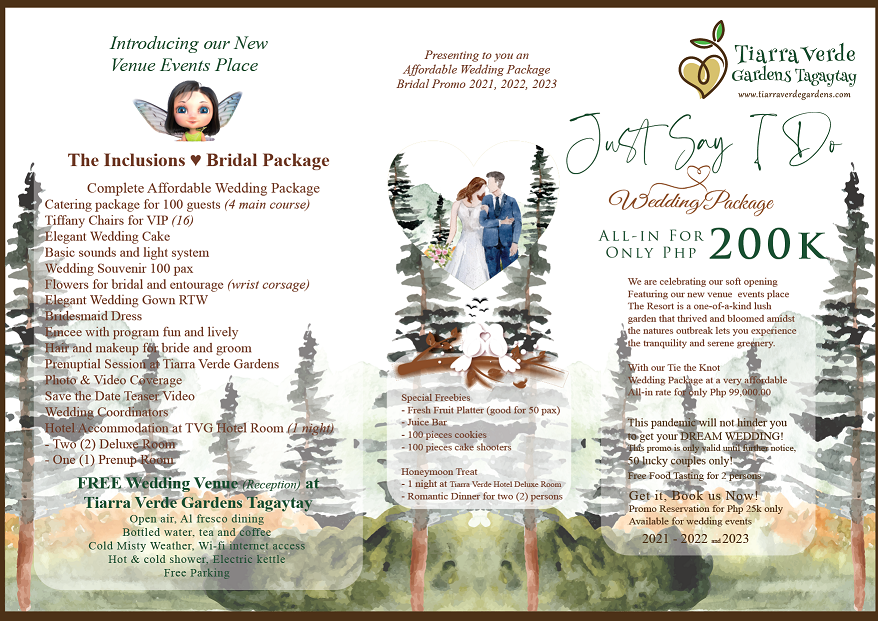 just say i do wedding package